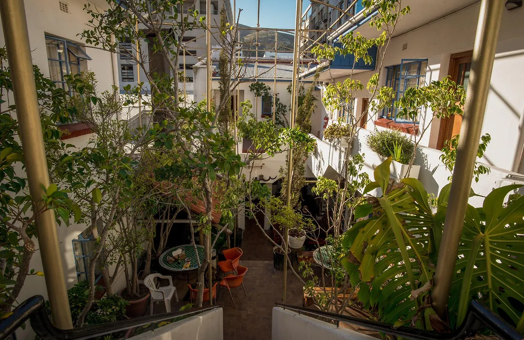 Long Street Backpackers (Adults Only)-1